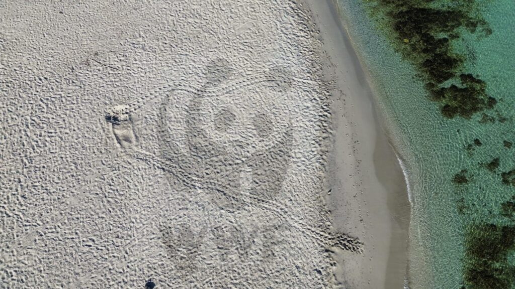 WWF Capaci