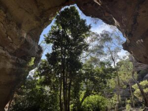 blue mountains dargan shelter