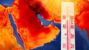 caldo kuwait
