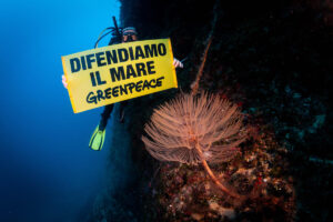 conferenza nizza greenpeace mare oceani