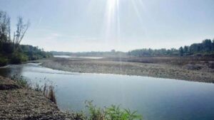 fiume piave