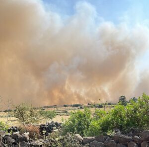 incendi dualchi sardegna