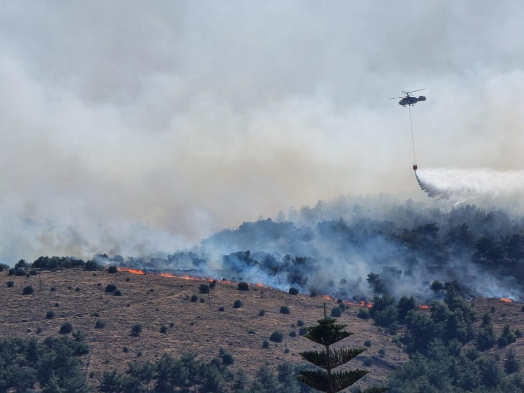 incendi grecia