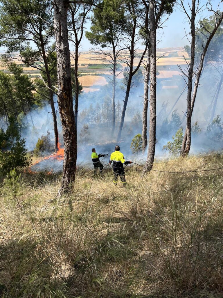 incendi lucera puglia