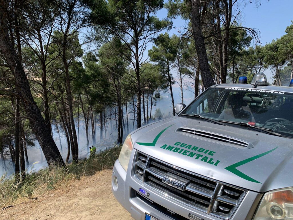 incendi lucera puglia