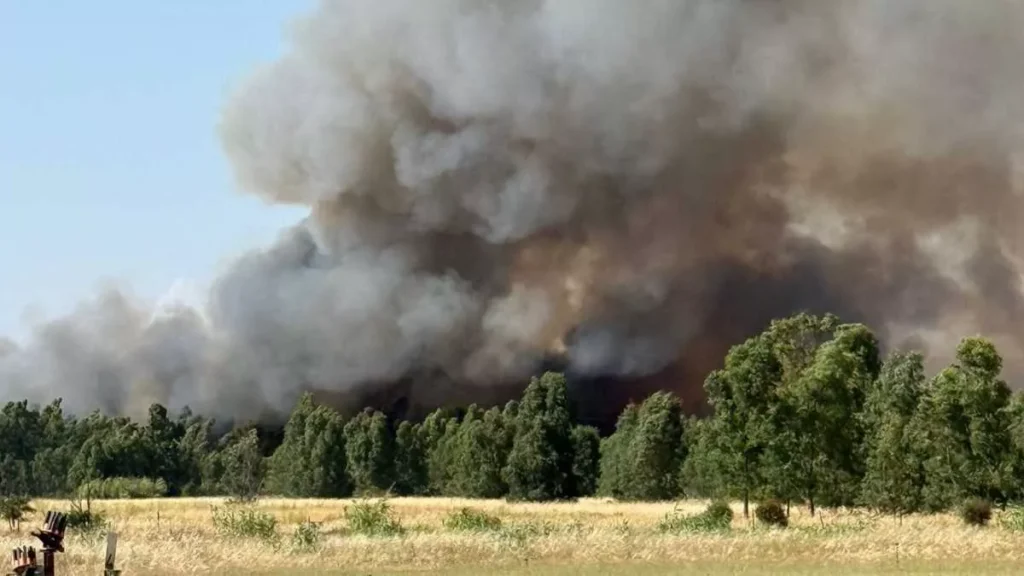 incendi sardegna