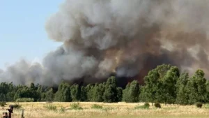 incendi sardegna