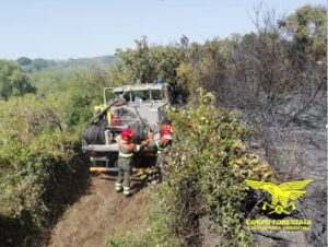 incendi sardegna