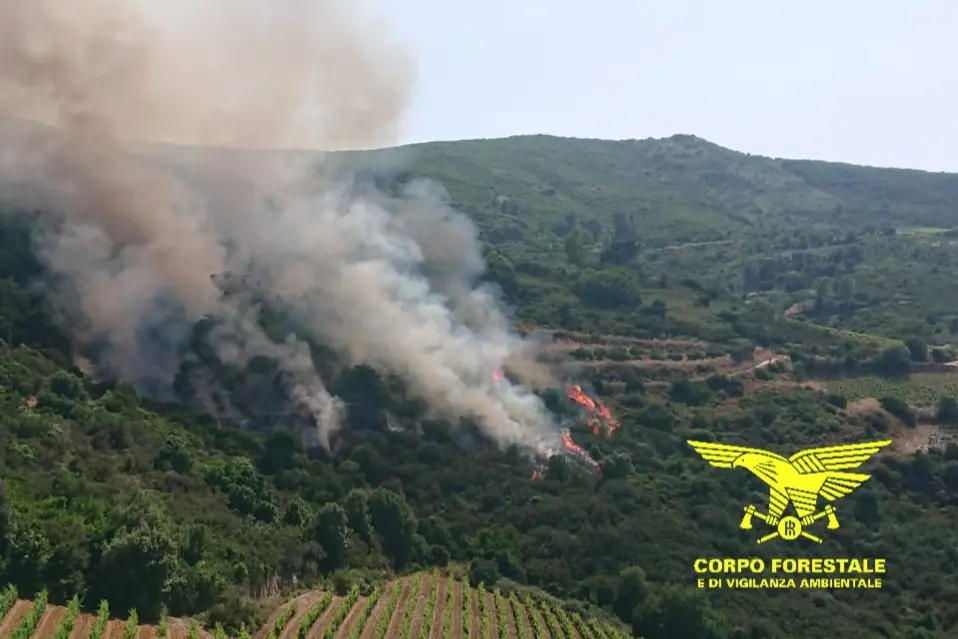 incendi sardegna