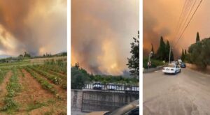 incendi turchia