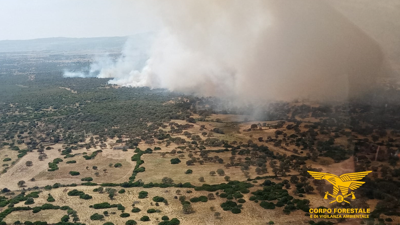 Incendi in Sardegna, Sicilia e Puglia: grosso rogo nel Nuorese, in azione due Canadair