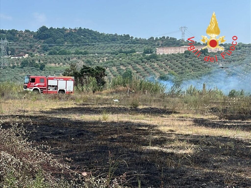 incendio maida calabria