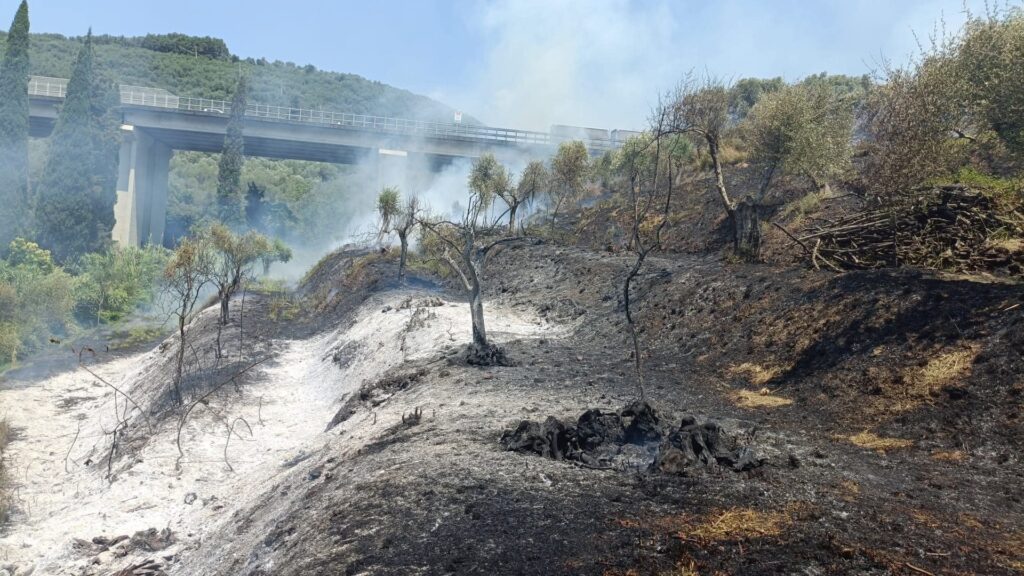 incendio massarosa toscana