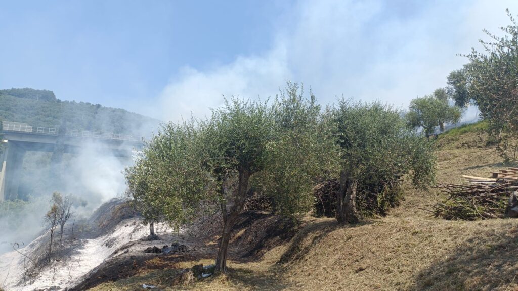 incendio massarosa toscana