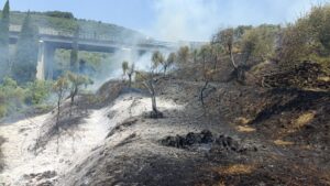 incendio massarosa toscana