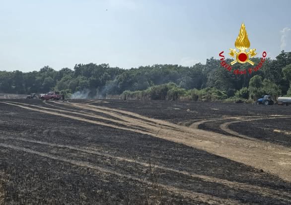 incendio persano campania