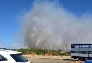 incendio pozzomaggiore sardegna