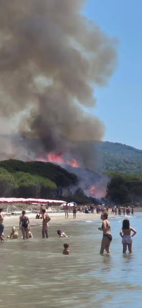incendio scarlino toscana