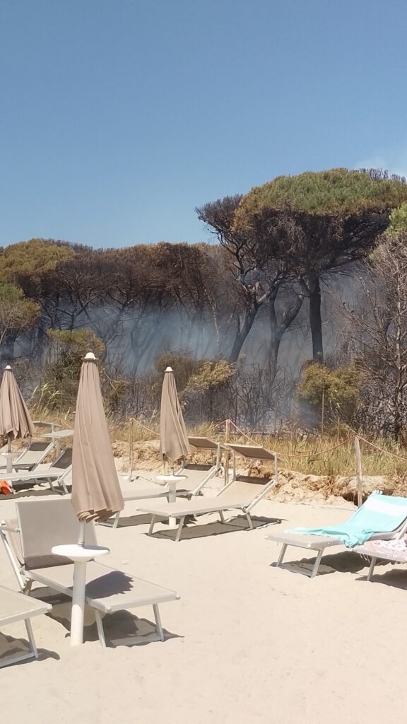 incendio scarlino toscana