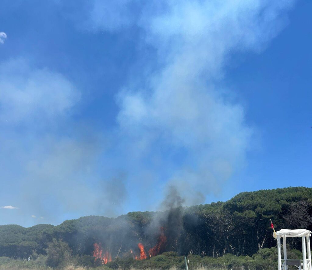 incendio scarlino toscana