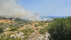incendio torre pali