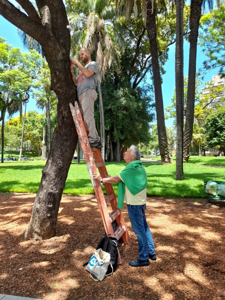 inquinamento foglie licheni