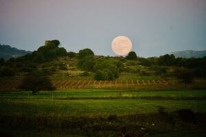 luna delle fragole nuraghi