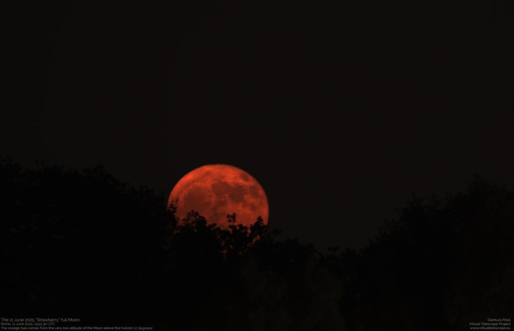 luna fragola rossa Masi
