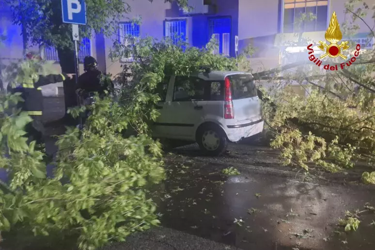 Maltempo Friuli-Venezia Giulia, fulmini e alberi crollati: oltre 100 interventi dei Vigili del Fuoco da ieri