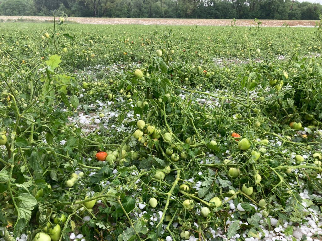 maltempo grandine vicomero emilia romagna