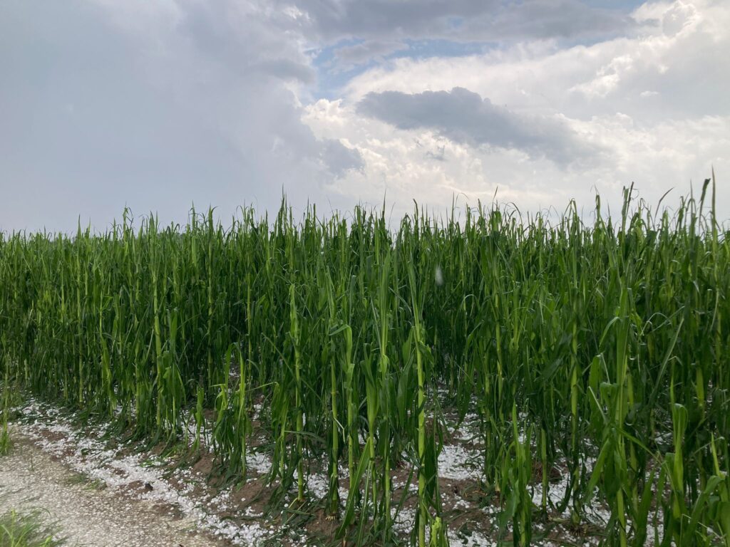 maltempo grandine vicomero emilia romagna