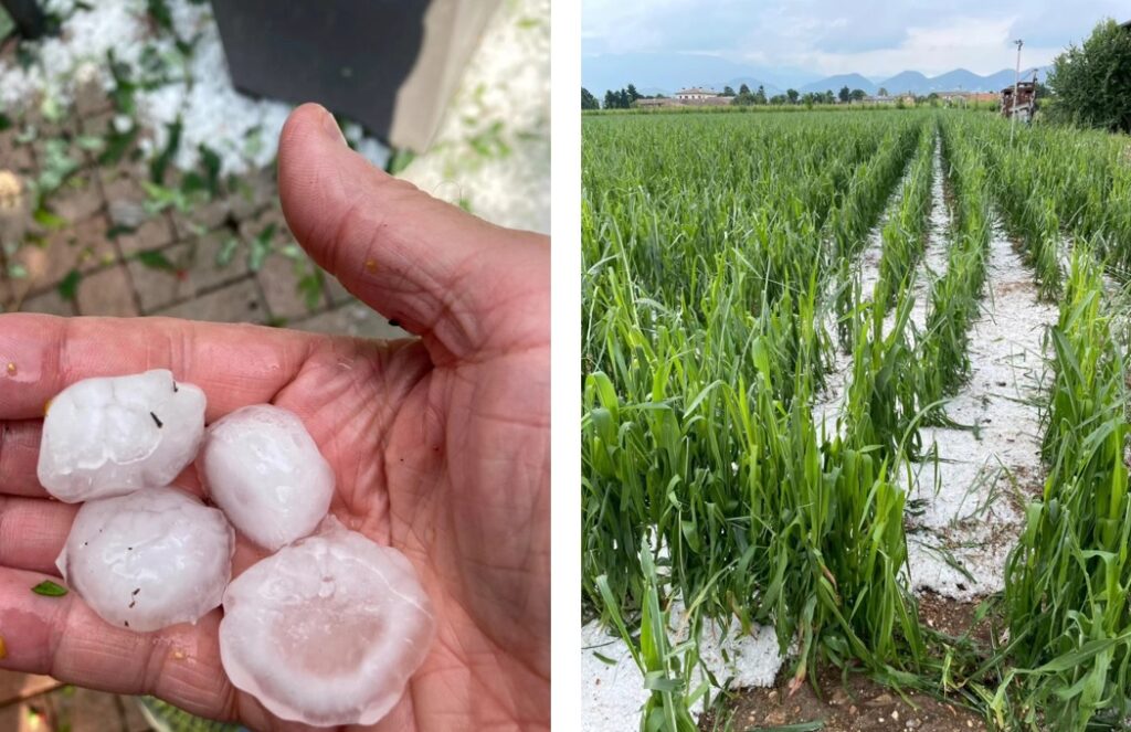 maltempo veneto grandine