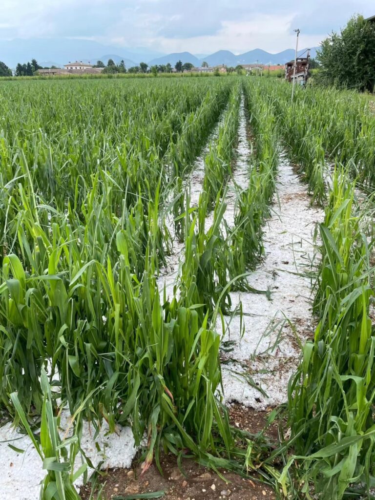 maltempo veneto