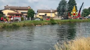 mucche canale