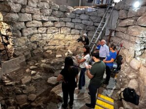 reperti archeologici barumini