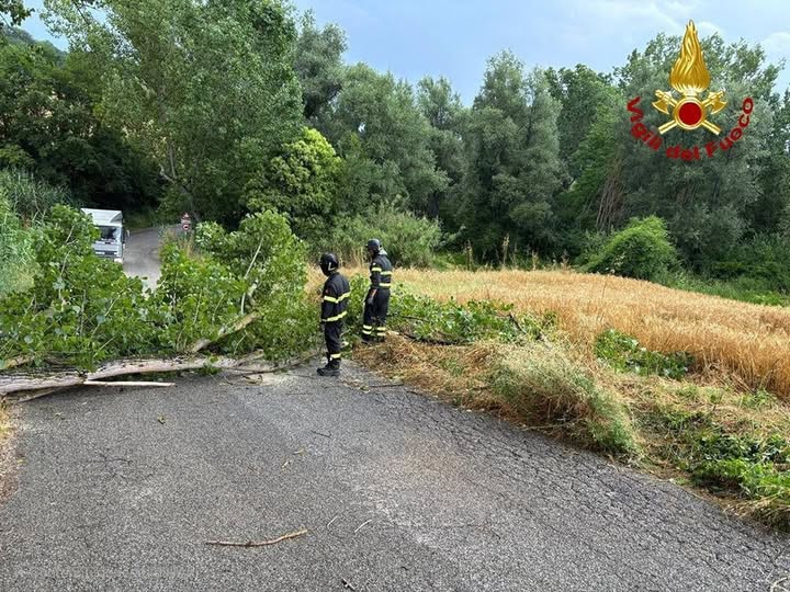 vigili fuoco vento albero
