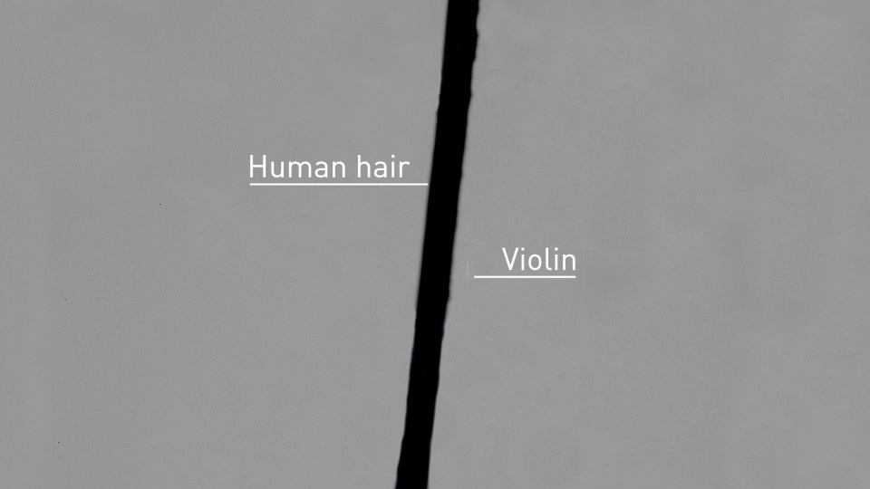 violino più piccolo mondo