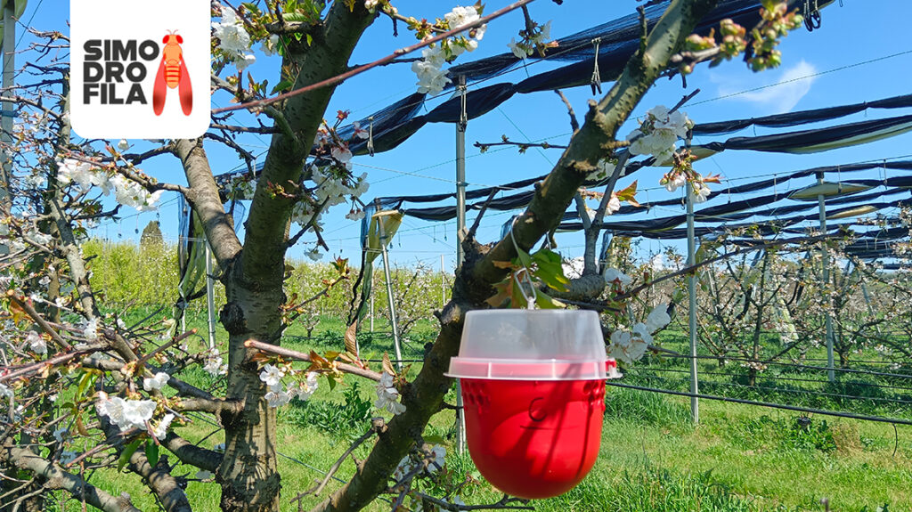 Agroalimentare simodrofila soluzioni innovative e ‘trappole’ intelligenti contro gli insetti alieni