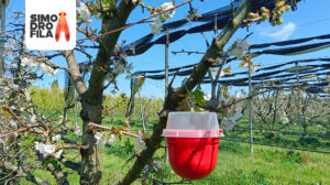 Agroalimentare simodrofila soluzioni innovative e ‘trappole’ intelligenti contro gli insetti alieni