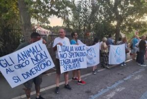 Animali circo