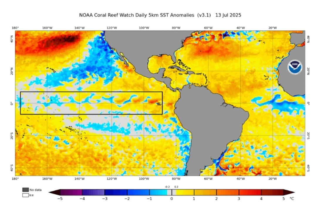 Anomalie SST noaa 13 luglio la Niña