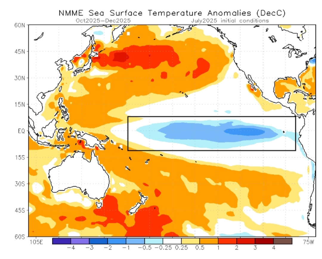Anomalie SST ottobre-dicembre 2025 la Niña