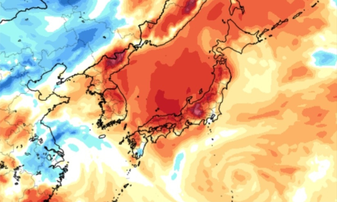 Meteo Giappone: Kaibara tocca 41,2°C, nuovo record nazionale tra dubbi e polemiche
