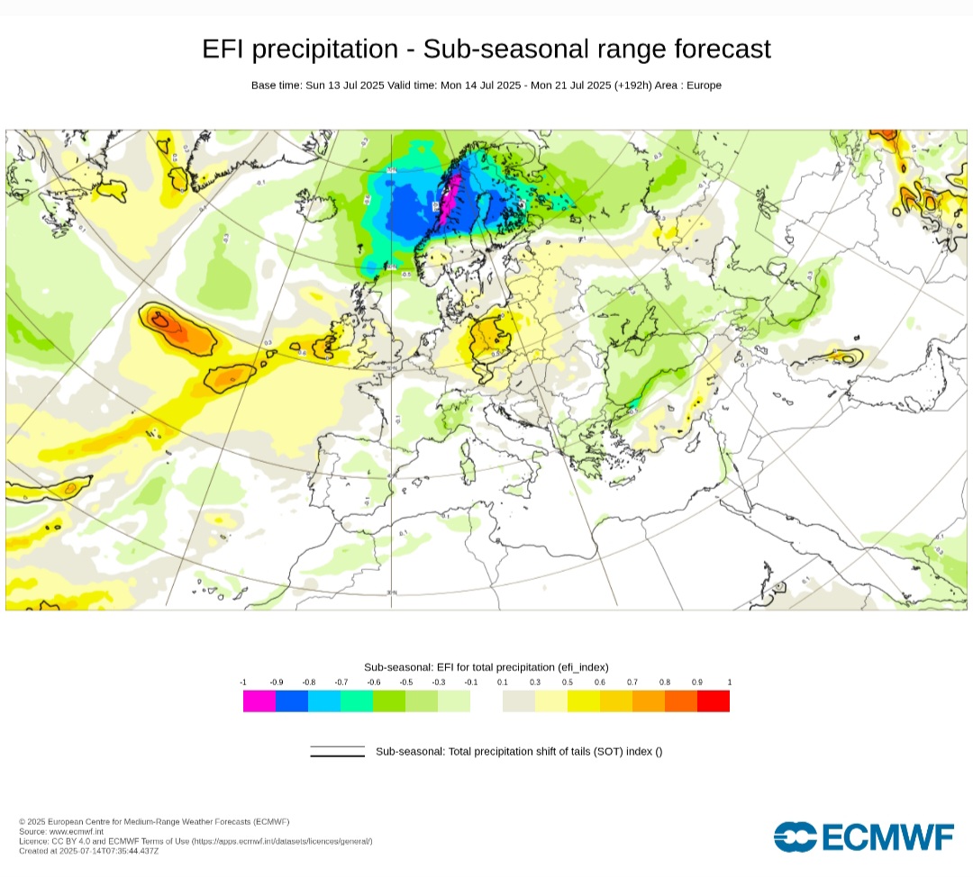 Efi ECMWF precipitazioni 18 luglio