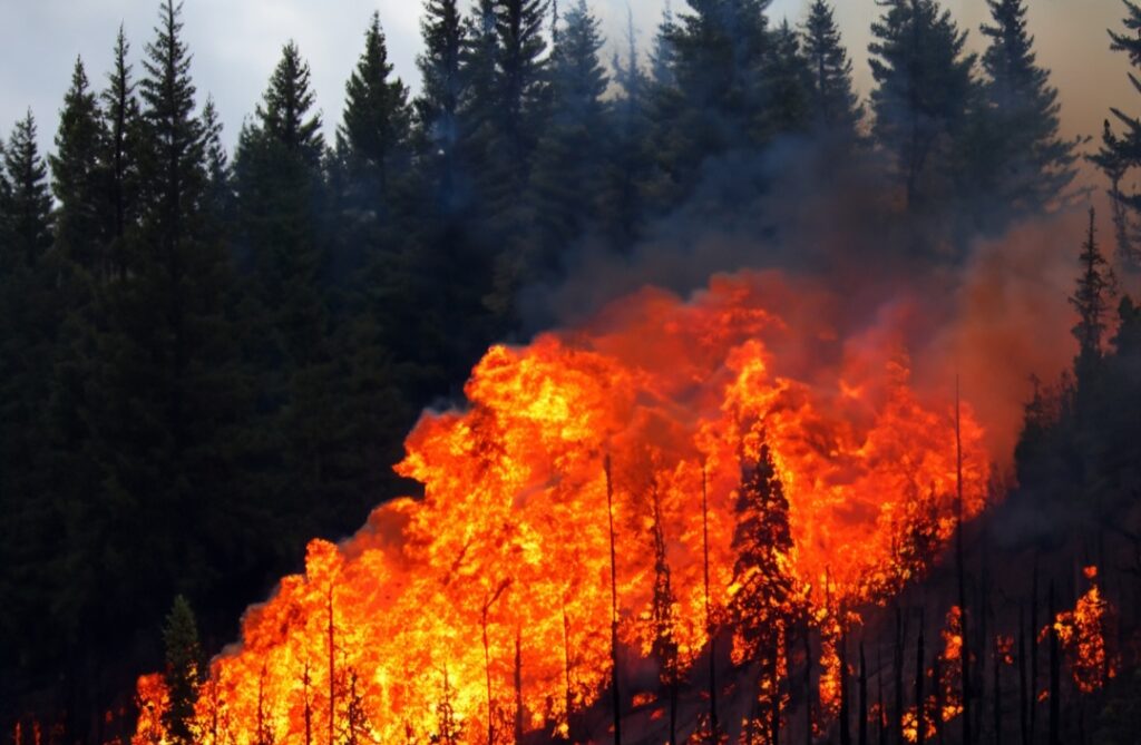 Incendi Canada situazione