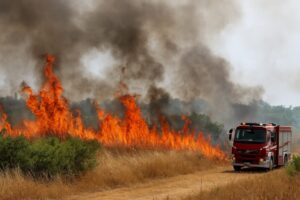 Incendi Molise