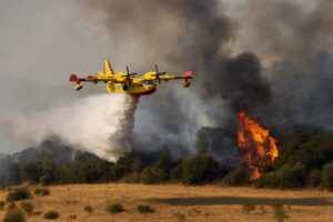 Incendi Sardegna