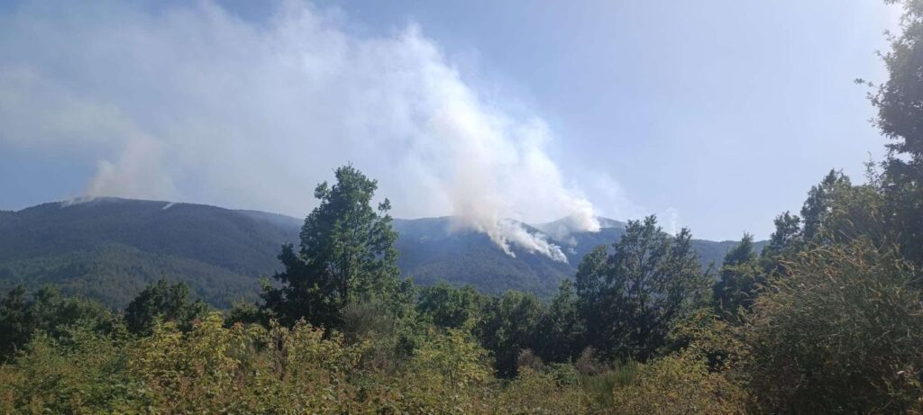 Incendi Sila