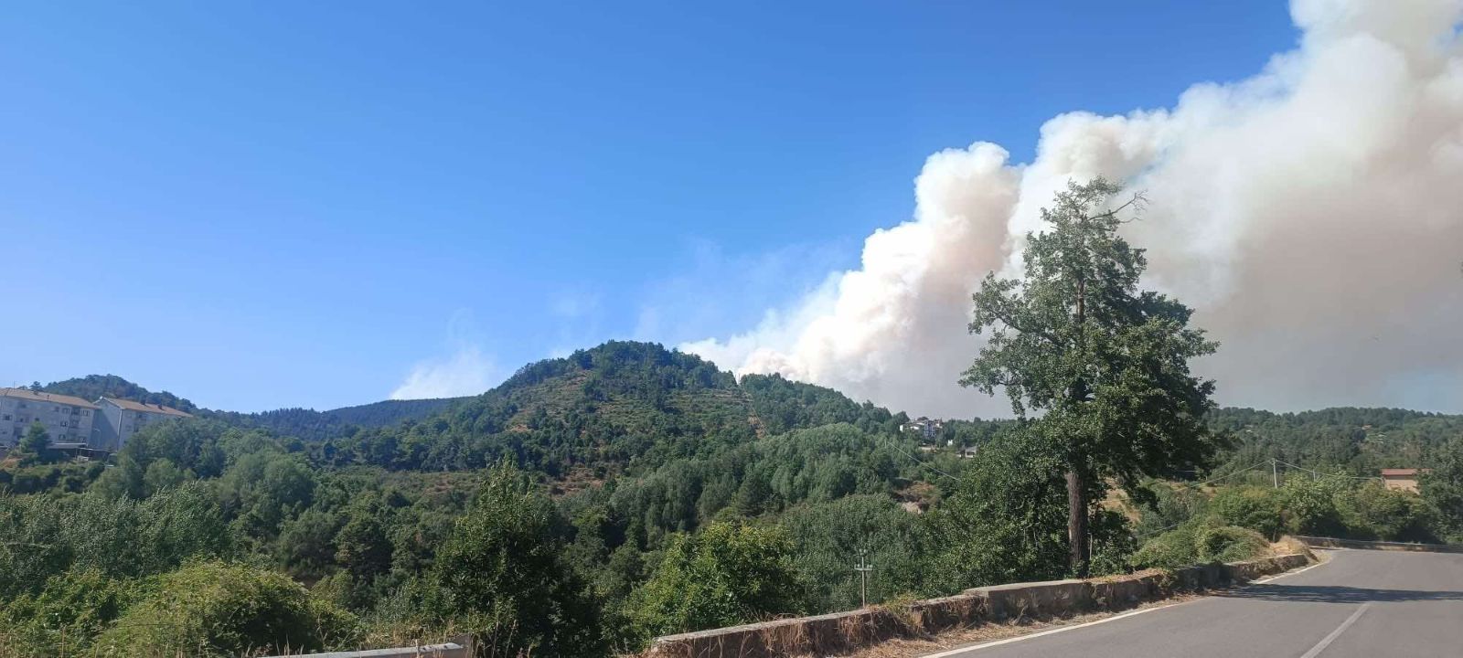 Grave incendio devasta i boschi del Germano: distrutti centinaia di ettari di foresta nella Sila | FOTO