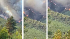 Incendi Spagna